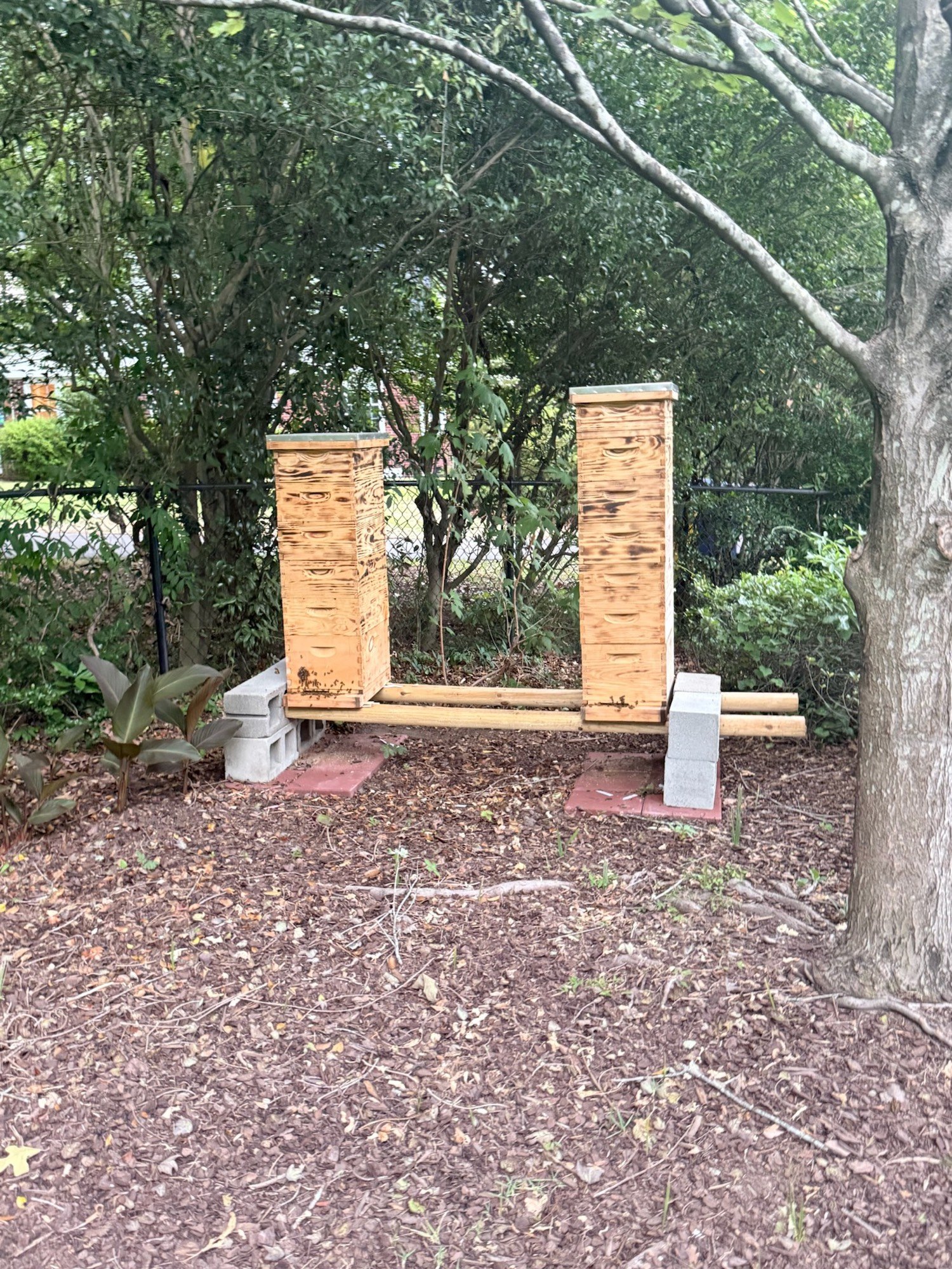 Tall stacked production hives later in the season