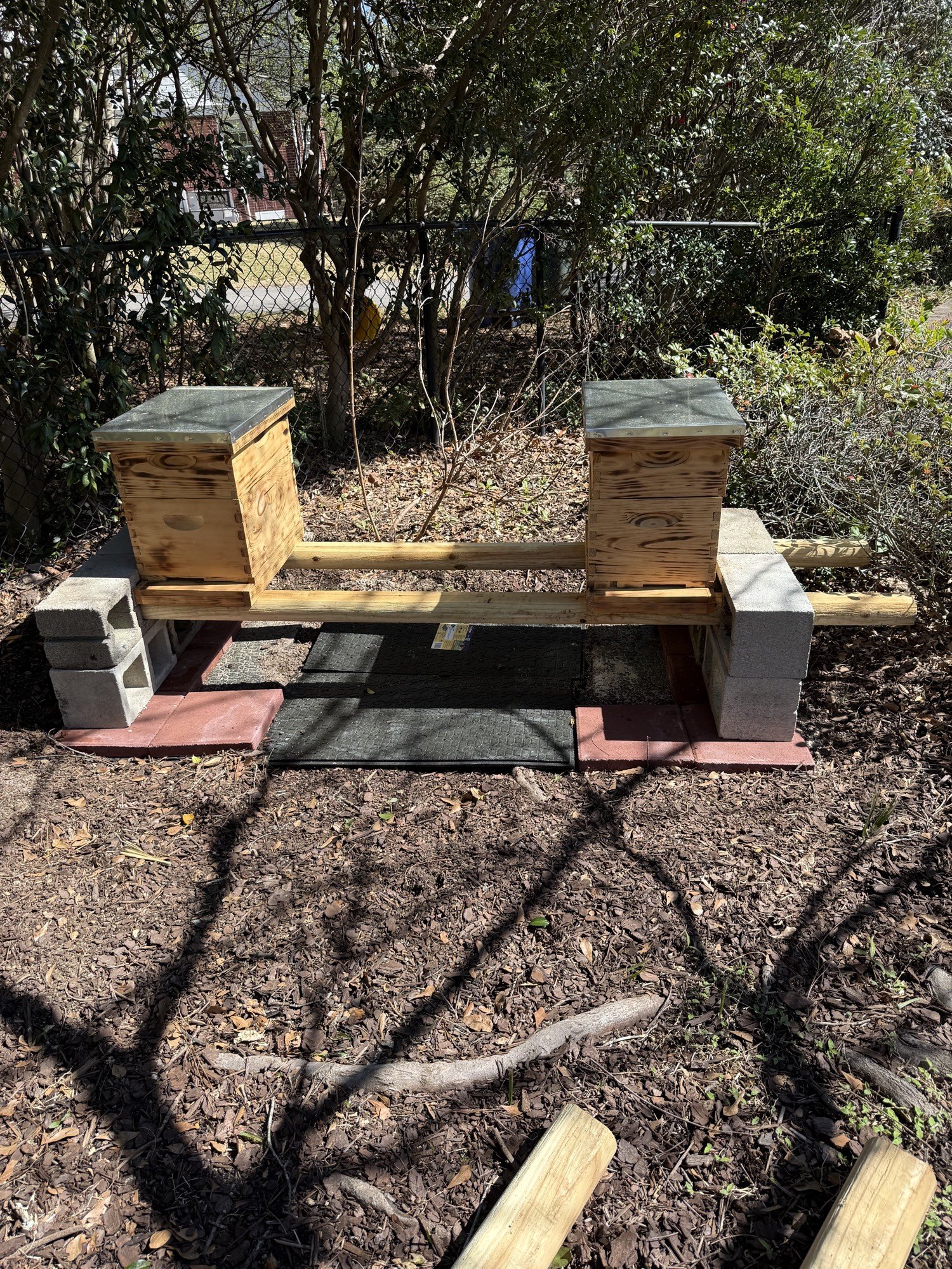 Nucleus boxes on cinder block in the Heathwood yard